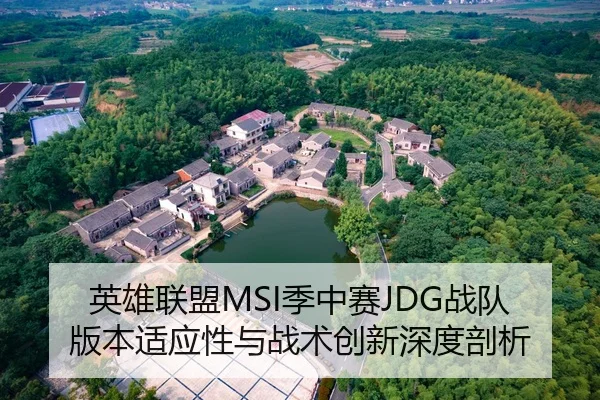 英雄联盟MSI季中赛JDG战队版本适应性与战术创新深度剖析