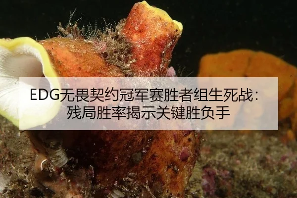 wu-wei-qi-yue-guan-jun-sai-sheng-zhe-zu-sheng-si-zhan-can-ju-sheng-lv-jie-shi-guan-jian-sheng-fu-shou-3-632.jpg